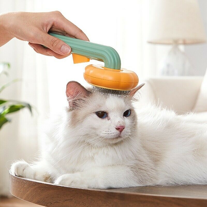 Pet Pumpkin Hair Remover Brush