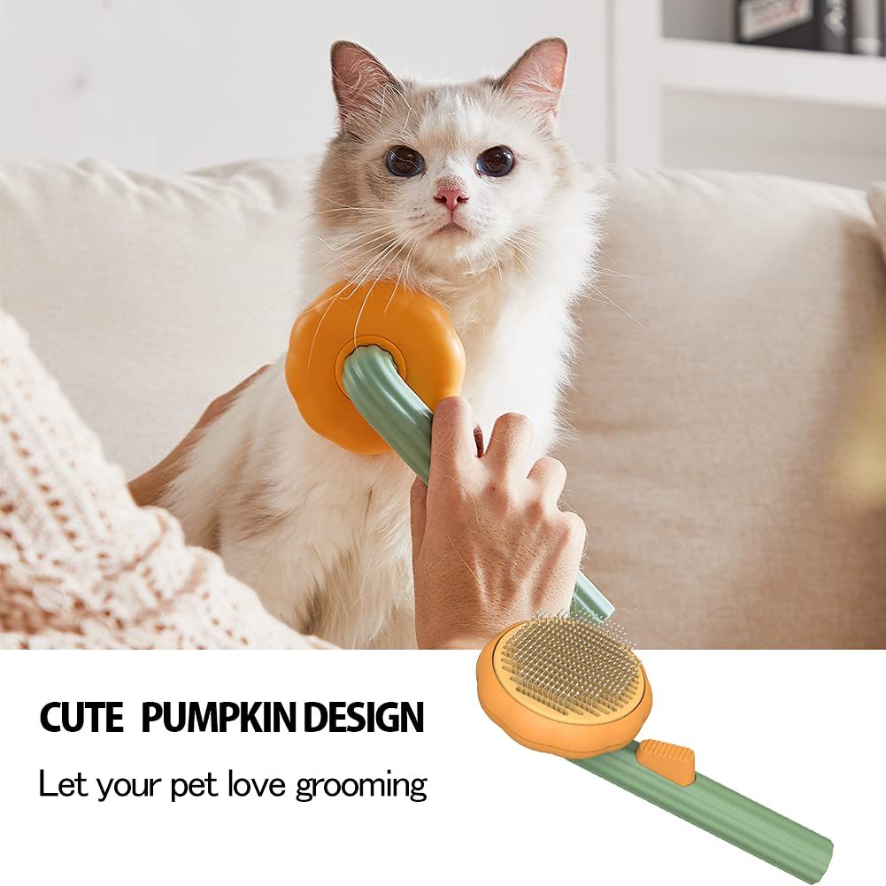 Pet Pumpkin Hair Remover Brush